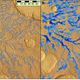 Image: Luo et al, Nature Comms (2017)